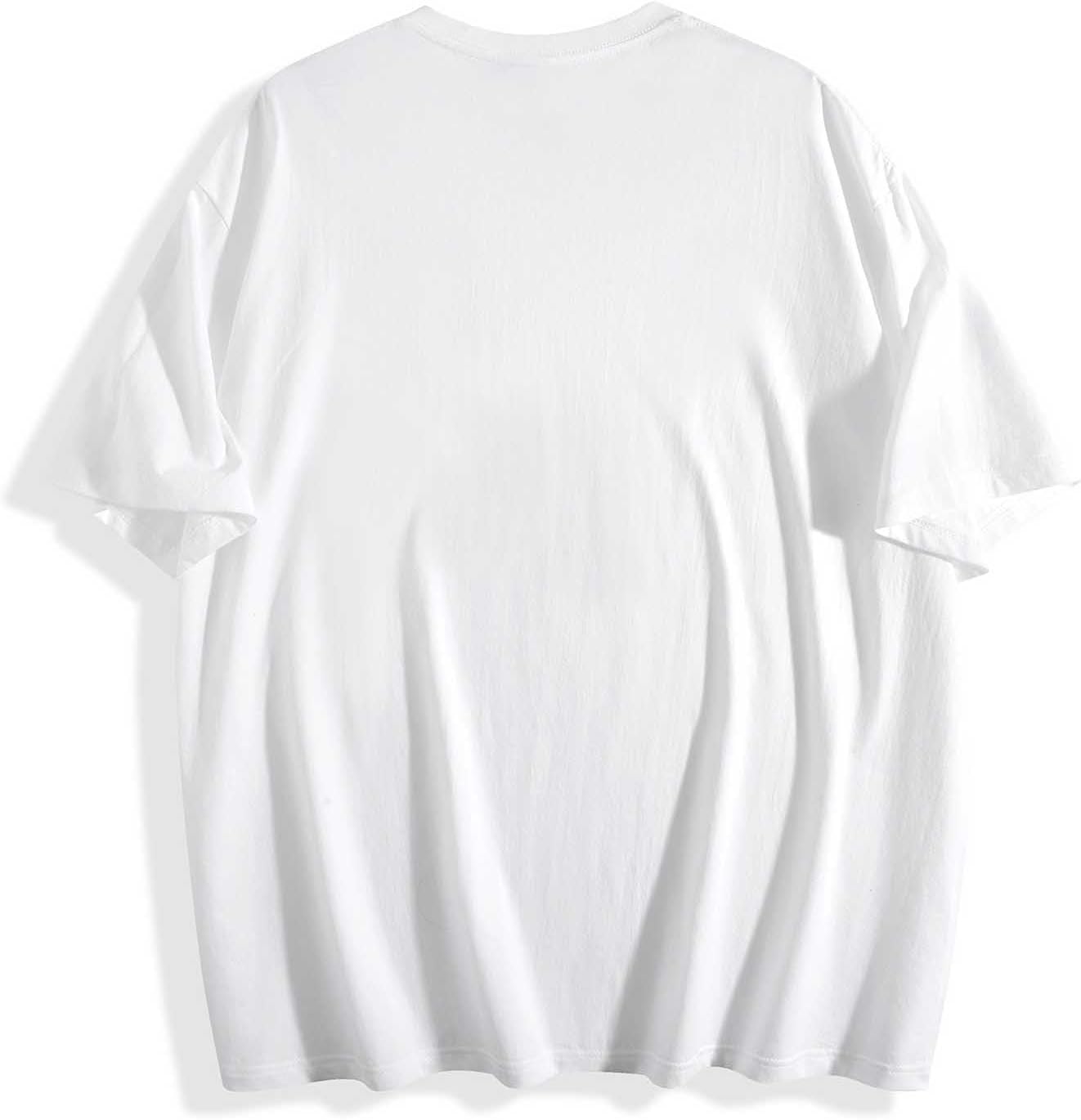 [CJMKENM] メンズ Tシャツ 半袖 綿100% 丸首 軽い 柔らかい 通気性 快適 おもしろ 大きいサイズ カジュアル 普段着 スポーツ 通勤 通学 夏服 男女兼用（ぶりとぼら-1）