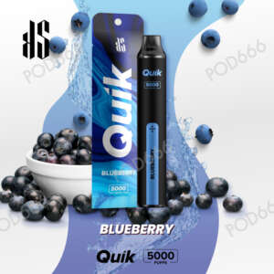 KS Quik 5000 Puffs Blueberry